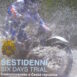 A0943_Sestidenni-1