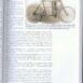 A0971_boschvceskych-4