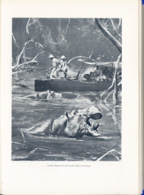 A1107_siryms34-2 A1107_siryms34-2