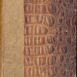 A1219_svetemautem-1
