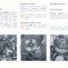 A1242_fiat127-4