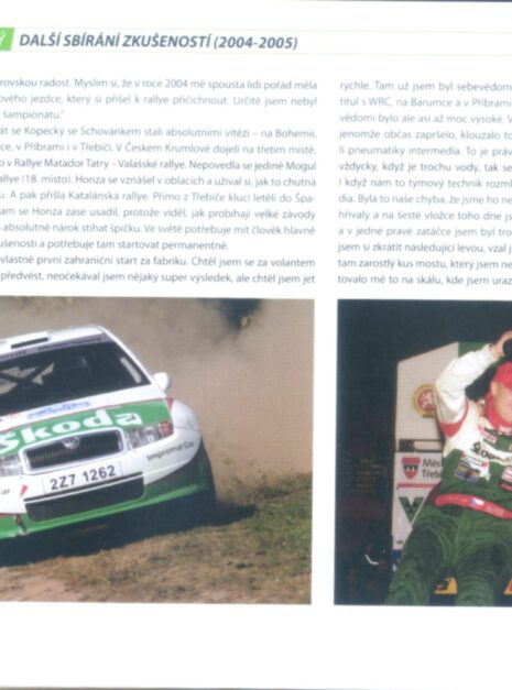 A1278_pozlacena-2 A1278_pozlacena-2